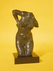 Torso